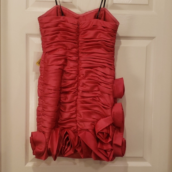 Inspire Me Pink Rose Beaded Cocktail Dress - Picture 5 of 5